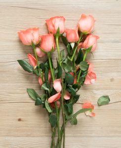 訂購須知及常見問答 Lovepik com 500543073 rose pat 1 244x300 - 訂購須知及常見問答